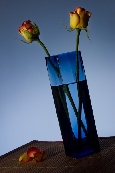 http://www.luneo.org/photos/CRW_1947_w.jpg