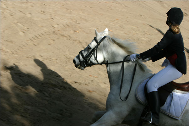 http://www.luneo.org/photos/IMG_0669_w.jpg
