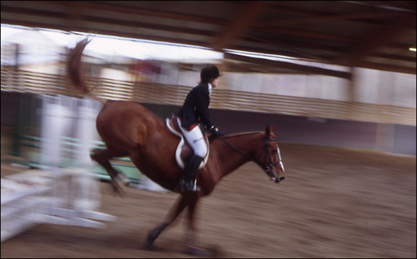 http://www.luneo.org/photos/equitation1.jpg