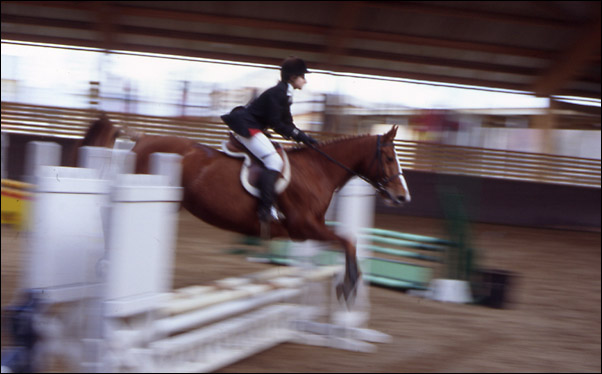 http://www.luneo.org/photos/equitation2.jpg