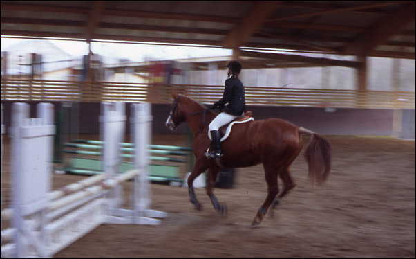 http://www.luneo.org/photos/equitation3.jpg