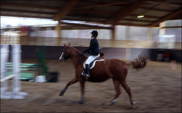 http://www.luneo.org/photos/equitation4.jpg